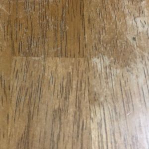 Meet your Posher, Shauna